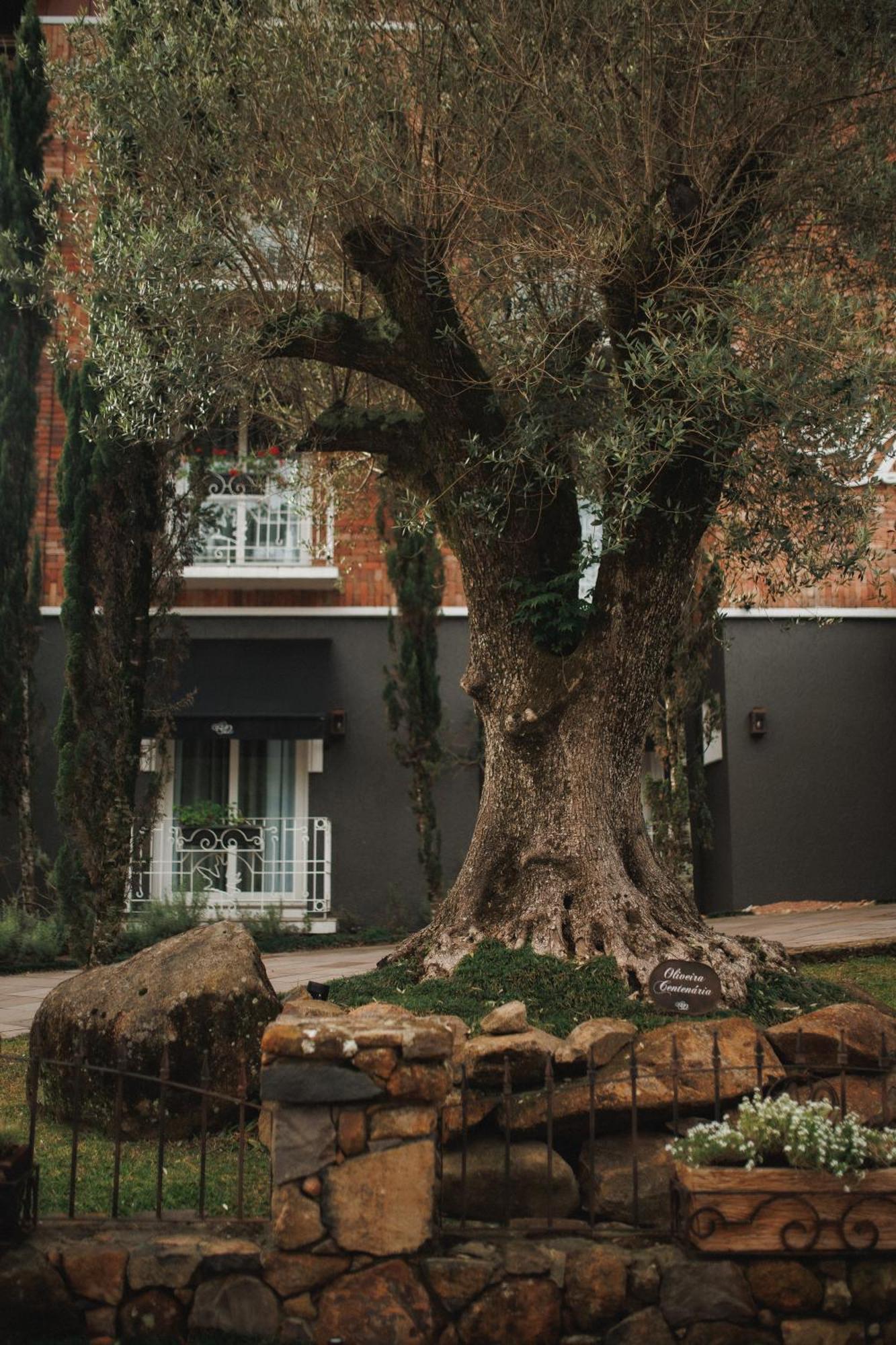 גראמדו Hotel Valle Dincanto מראה חיצוני תמונה
